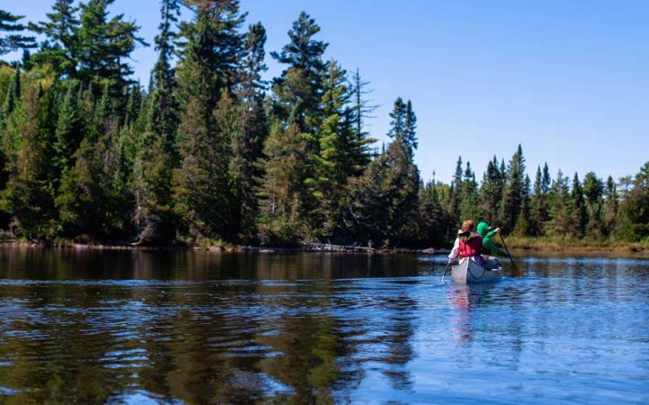 a canoe is paddled away from the camera on calm blue water. there are evergreen trees on the shore.